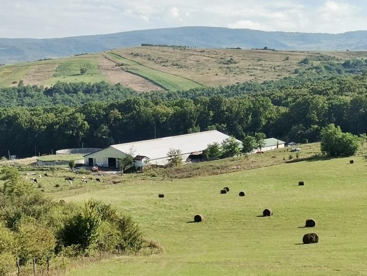 Ferma Zootehnica la standarde Europene - 10