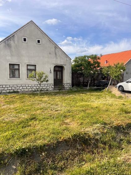 Casa de vanzare Foeni! - 1