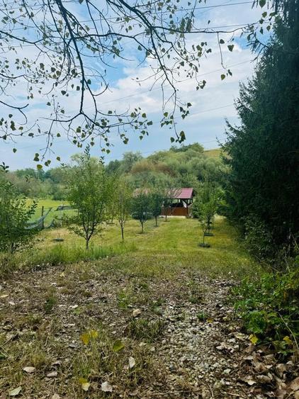 Teren Drumul Buzdului cu o cabana mica - 8