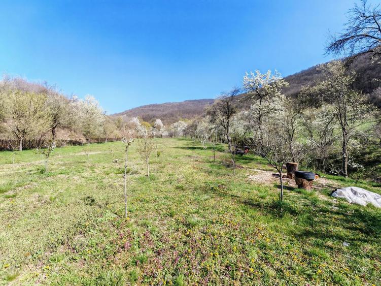 Proprietate cu 22.000 mp teren + casa | Priveliste superba | I - 7