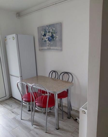 2 camere Mobilat/Utilat Lipovei - 4
