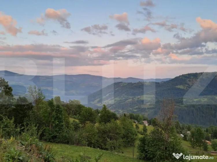 Teren intravilan 4.175 mp in Inuri ideal cabana/casa - 7