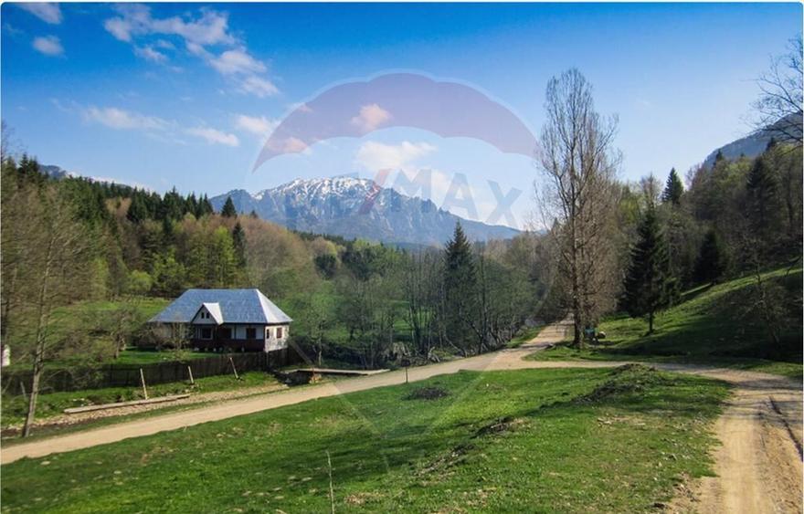 Teren 6000 mp, Vama Buzaului - vedere catre Ciuca? - 7