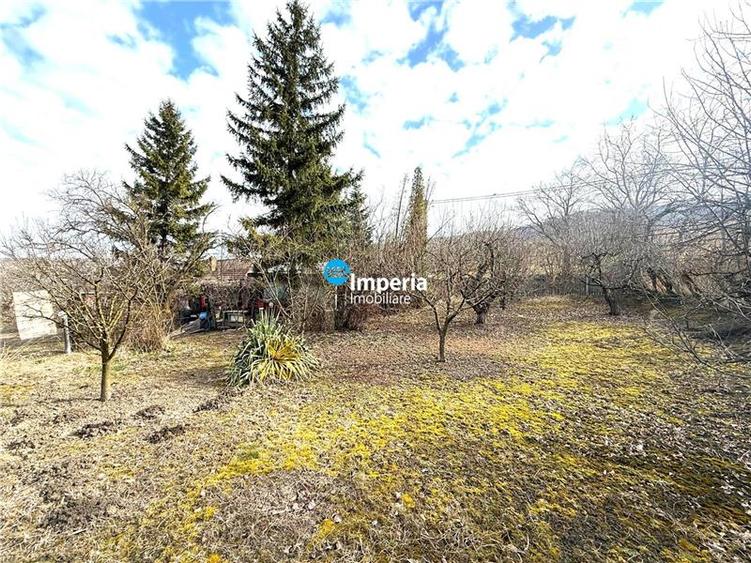 Teren intravilan 4800 mp, investitie,  utilitati complete, Dancas Miroslava - 1