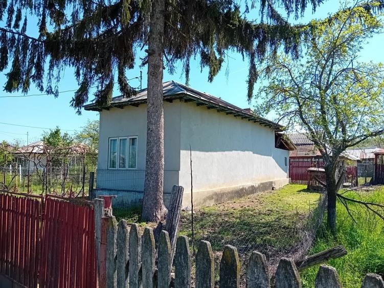 Casa Podenii Noi - 8