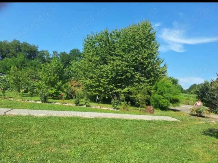 Vanzare proprietate in comuna Braniste - 2