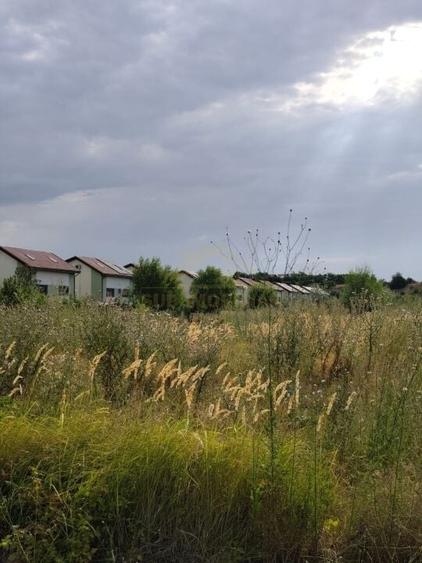 Teren Intravilan -Trend Residence - 1