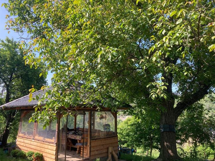 Casa de vacanta cu teren generos - 5