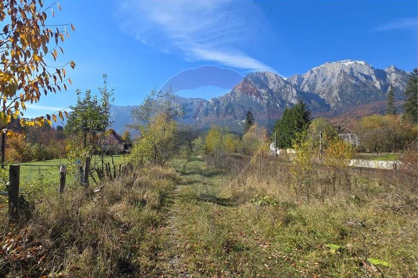 Teren intravilan cu vedere spectaculoasa spre Crucea Caraiman - 4