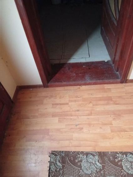Vand casa + teren 5500mp Cacica, Langa Suceava - 3