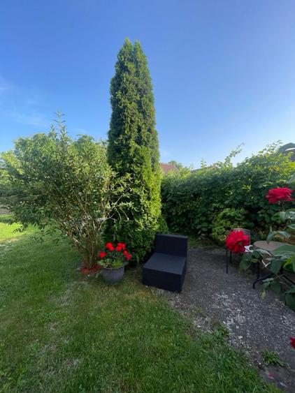 Casa de vanzare, P+E, 8 ari de teren - 7