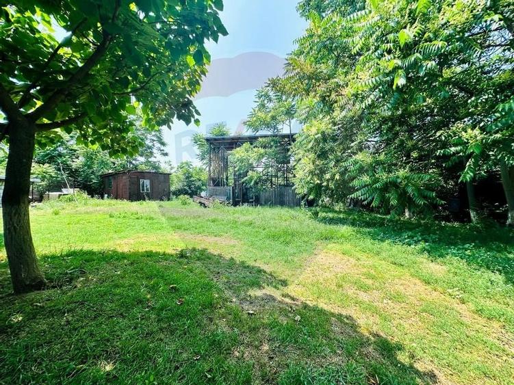 Teren 1537mp cu Livada si Iesire la Lac in Niculesti-Dambovita - 5