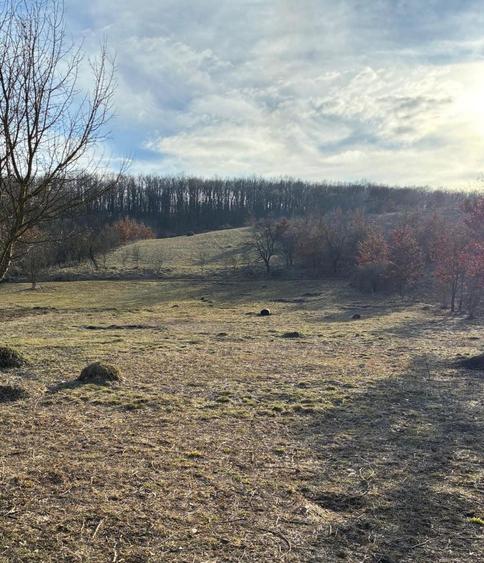 Vand/ Variante Teren intravilan in Hateg,langa Baraj , Prislop - 7