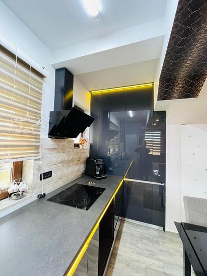 VILĂ TIP DUPLEX – PALAZU MARE VEDERE LA LAC 250000 € - 17