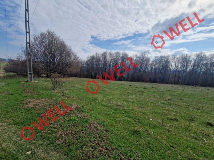 De vânzare teren extravilan în localitatea Brădet! - 3