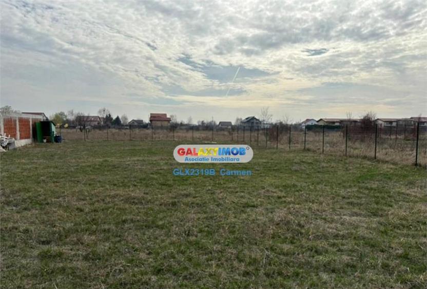 Teren intravilan - Domnesti - Intrarea Albastrelelor - 8