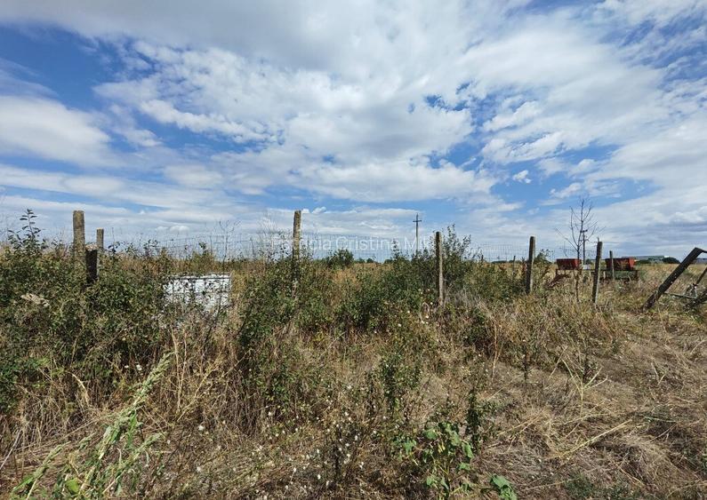 Teren intravilan Vidra Ilfov 3533mp