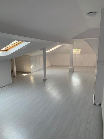 Casa cu destinatie comerciala 335 mp - 11