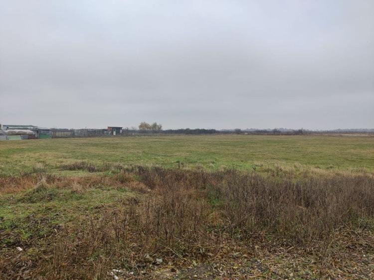 Teren 4588 mp, Remetea Mare Comision 0% - 3