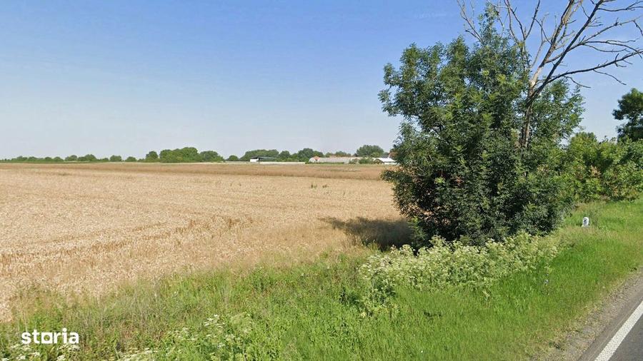 Teren Intravilan, 17500 mp, Sag, Timis, DN69 - 4