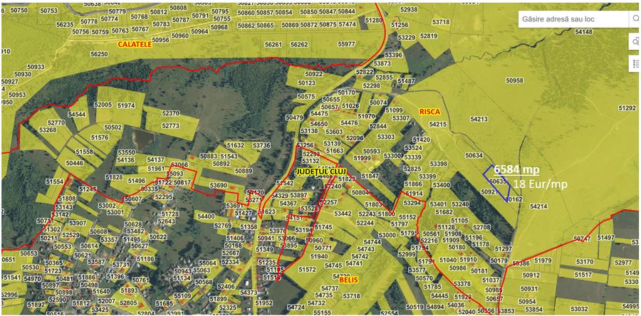 Proprietar: Vând parcele teren montan Beliș (3.000 mp - 6.500 mp) / Cadastru - 3