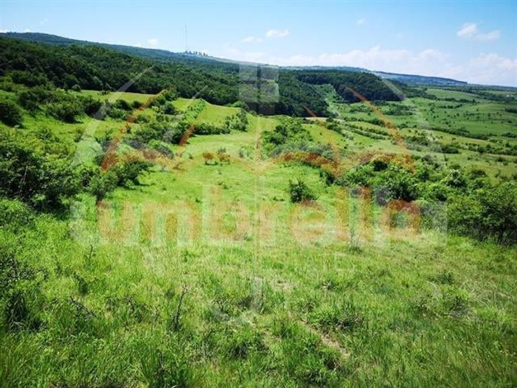Teren de vanzare intravilan in Cluj-Napoca, Strada Soporului 1.500m&Acirc;˛/41&acirc;Ź m&Acirc;˛ - 2
