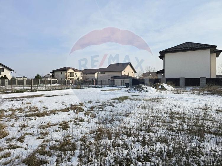 Teren de vanzare pentru casa, 621mp Ilfov Domnesti str Ciocarliei - 10