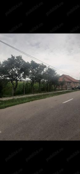 Casa noua de vanzare - 2