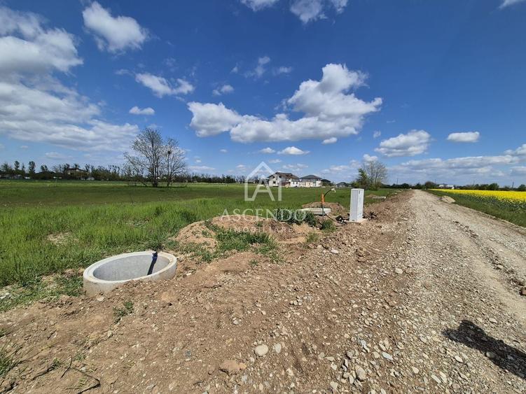 Teren intravilan 704 mp – Siliștea Snagovului | Lângă Pădurea Snagov - 6
