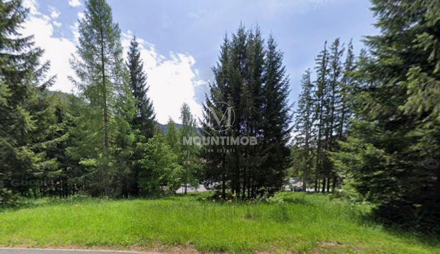 Teren intravilan în Poiana Brașov 1404 mp, str. Poiana Ruia - 1