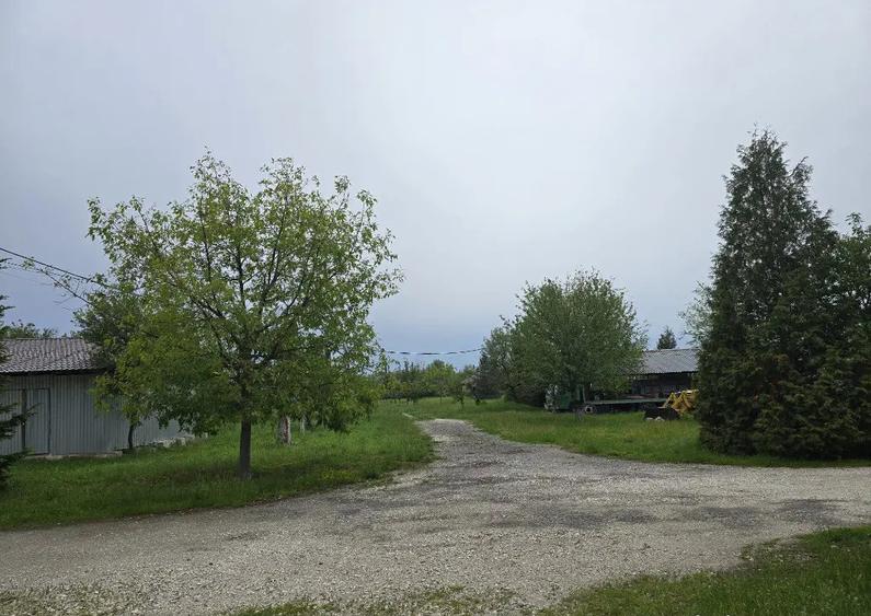 Proprietate Beharca teren 38464mp - 13