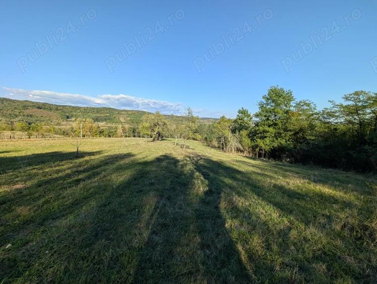 Casa ?araneasca cu livada ?i gradina mare,Vata de jos,Hunedoara - 1