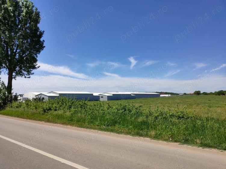 Teren de 7800 mp, în Ciolpani