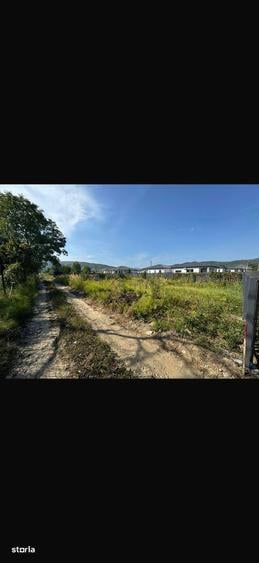 Teren Bujoreni Olteni 421 mp. - 1
