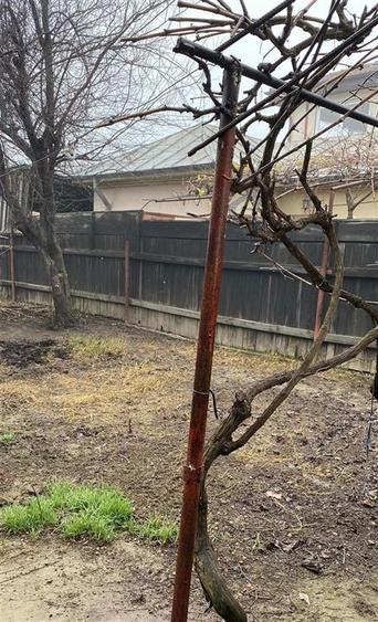 Buzaului-Spit Judetean Casa 3 camere teren 264 mp deschidere 8 m toate utilitati - 4