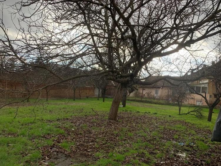 Casă cu 2 camere cu Teren 1007 Mp în Lipovei