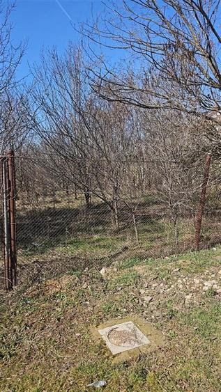Teren Construcții intravilan de 2955 mp, în Mehedința