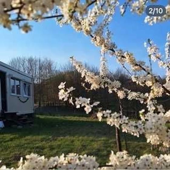 Teren intravilan 907 mp Cisnadioara, Str. Arinilor + Container Algeco locuibil si fantana proprie - 2