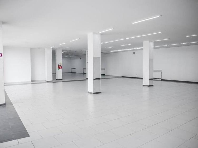 Spațiu comercial, de 325 mp, în Delfinariu