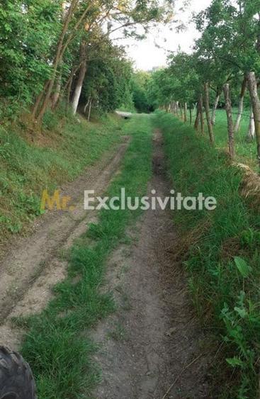 Teren de 12421 mp, în Central