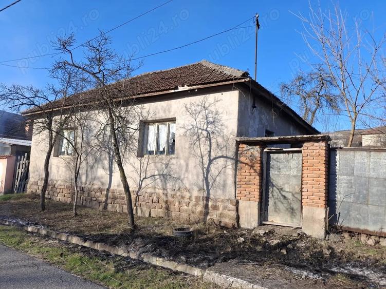 Casă cu 3 camere cu Teren 1400 Mp în Vintere