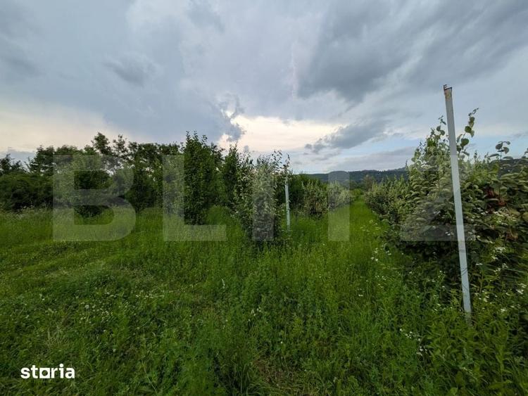 Teren de 4500 mp, în Voinești