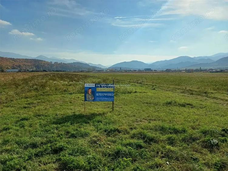Teren de 10000 mp, în Tălmaciu
