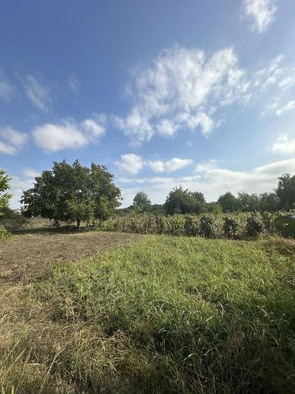 Teren intravilan de vanzare - 1655mp - Aroneanu - Iasi - 5