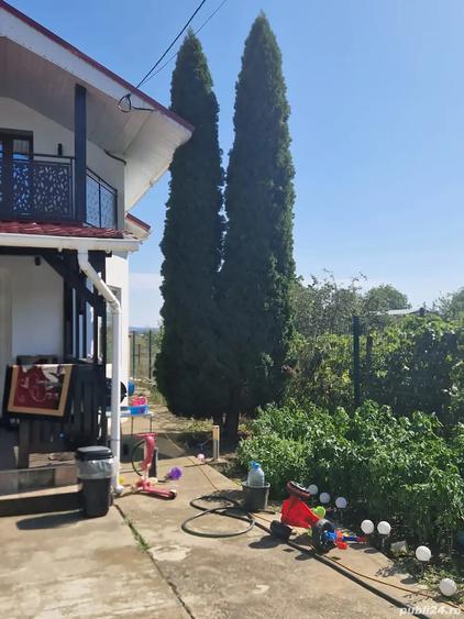 A 49 Vila LUX Letea , 320 mp utili cu 2294 mp teren intravilan - 18