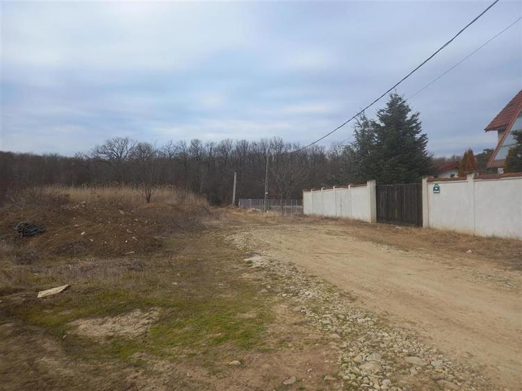 VANZARE TEREN INTRAVILAN BUFTEA | ultimele loturi | 500mp/lot | pentru case | st - 13