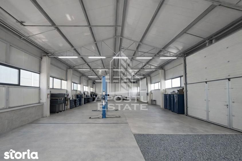 Hala de inchiriat Sacalaz, curte generoasa, show-room, service auto - 3
