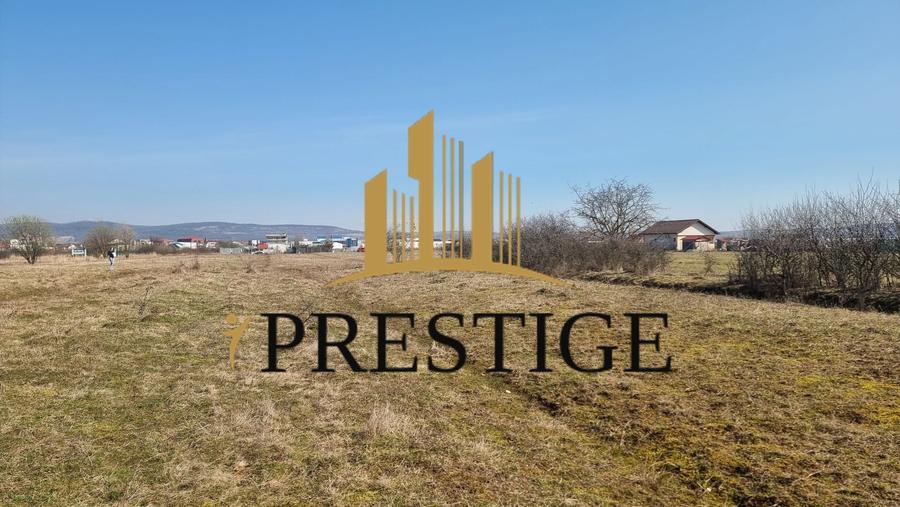 TEREN DE VÂNZARE 1000 MP ȘELIMBĂR ZONA TROIȚĂ | INVESTIȚIE - 4