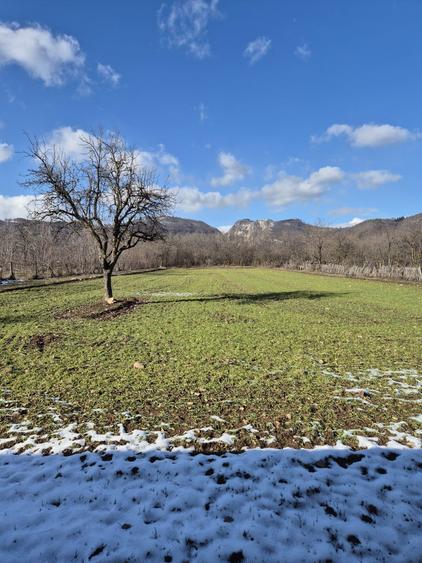 Vand teren plus casa - 1