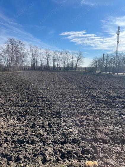 De vanzare Darvari casa si teren 2900 mp - 1